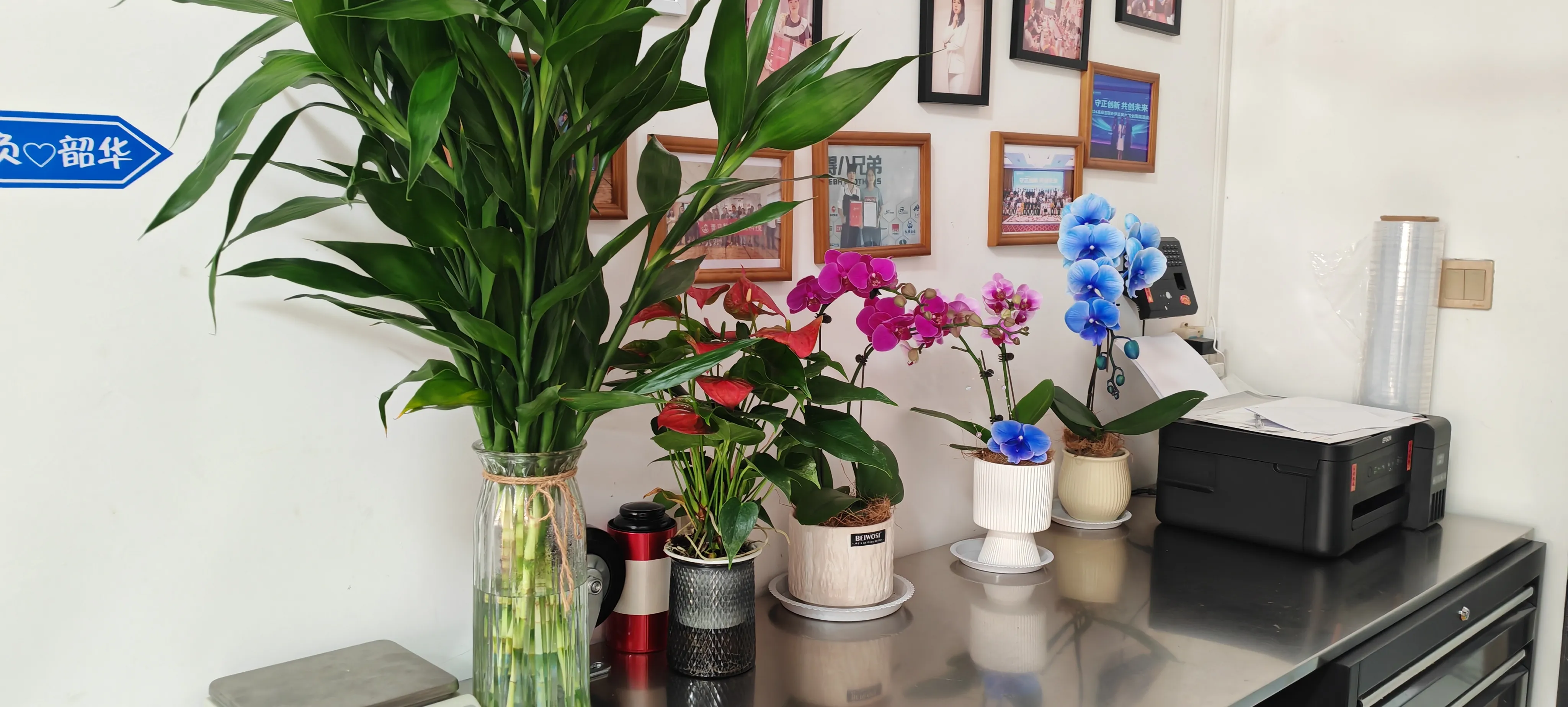 Jojo Pack ရဲ့သူငယ်ချင်းအသစ်တွေကိုကြိုဆိုပါတယ်။