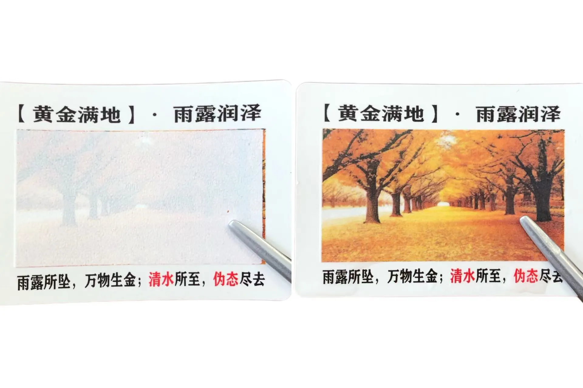 အရောင်ပြောင်း ရေစိုခံ တံဆိပ်များ သိပါသလား။