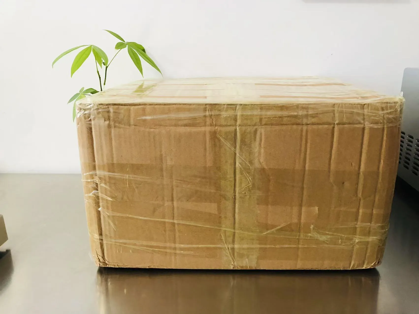 ကာတွန်းအခဲ Epoxy စတစ်ကာများ ယခု ဂျပန်နိုင်ငံသို့ ရောက်ရှိနေပြီဖြစ်သည်။